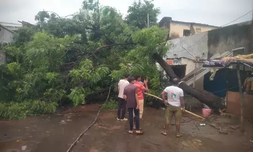 आंधी के साथ हुई बारिश से धाराशायी हुए कई पेड़, सडक़ें जलमग्न आंधी के साथ हुई बारिश से धाराशायी हुए कई पेड़, सडक़ें जलमग्न