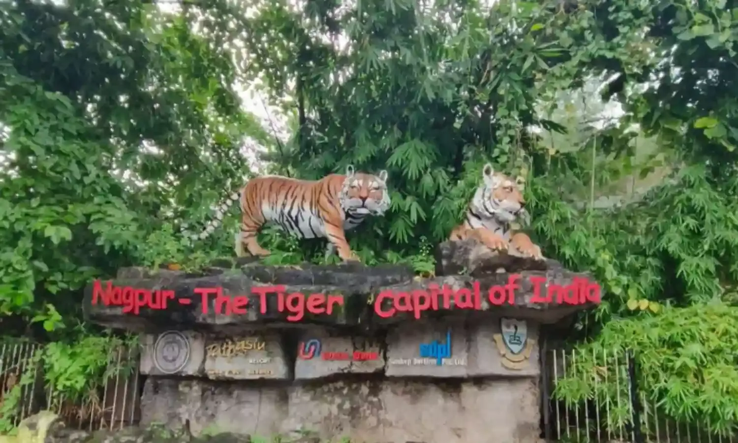 1 अक्टूबर से खुलेगी जंगल सफारी , 3 महीने बाद फिर मिलेगा जंगल घूमने का आनंद