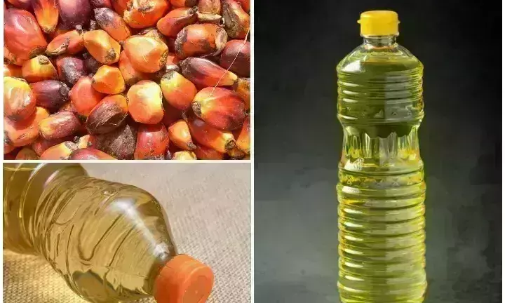 पाम ऑइल के एक लाख टन के सौदे हो गए रद्द, लेकिन नहीं बढ़ेंगे दाम