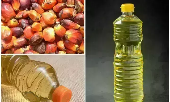 पाम ऑइल के एक लाख टन के सौदे हो गए रद्द, लेकिन नहीं बढ़ेंगे दाम