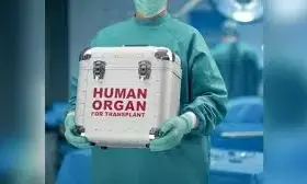 जानिए महाराष्ट्र के किन 7 सरकारी मेडिकल कॉलेज को ऑर्गन ट्रांसप्लांट की मिली मंजूरी