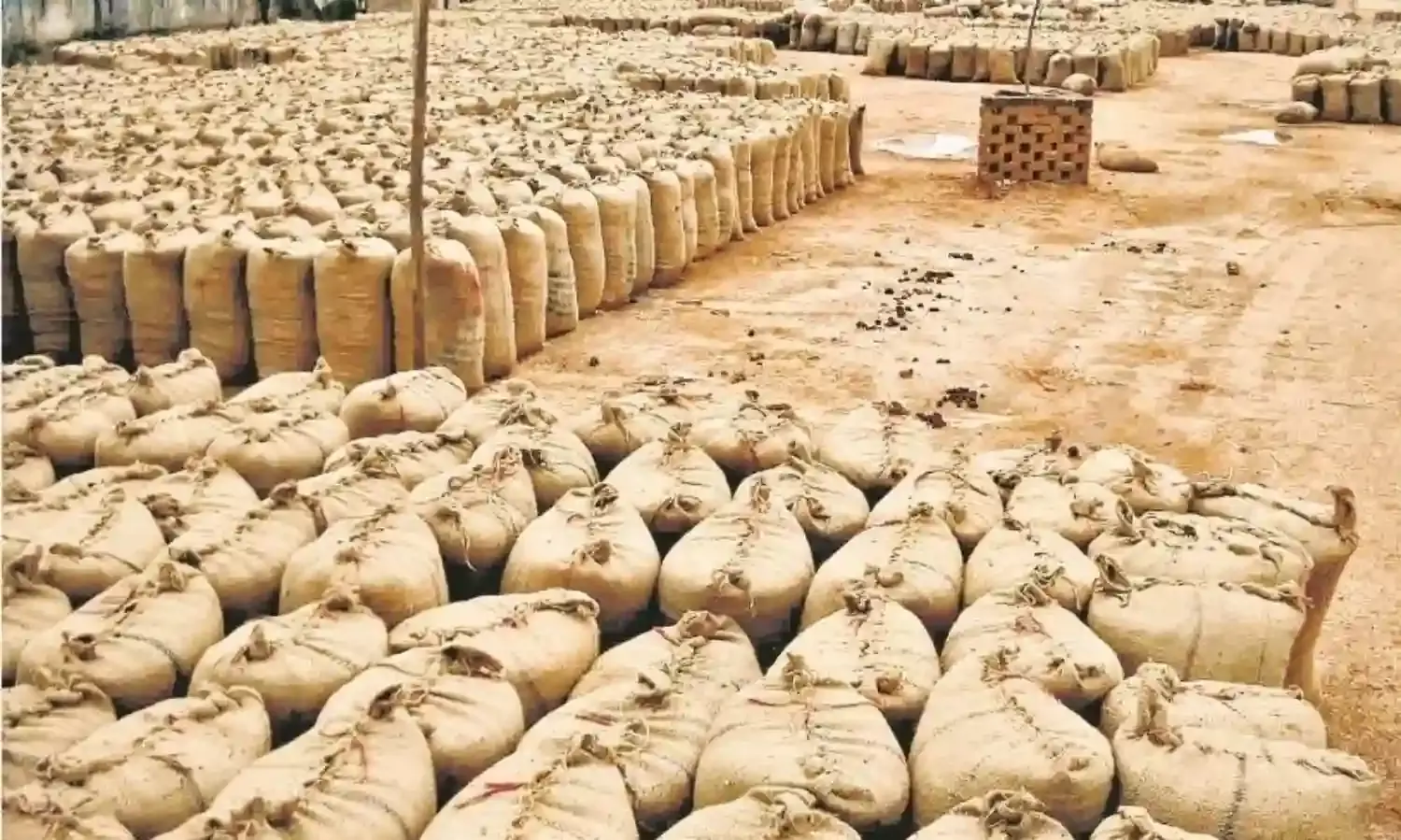 15 दिन में पूरी कर लें धान की मिलिंग