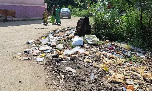 शपथ दिलाने तक सीमित स्वच्छता अभियान