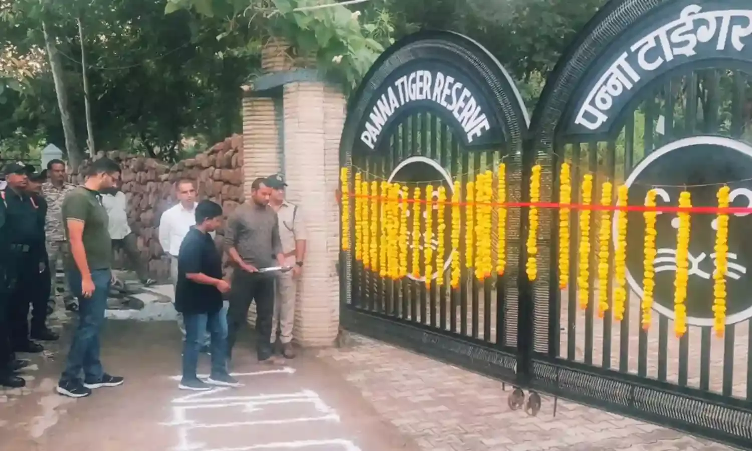 तीन माह तक बंद रहने के बाद पर्यटकों के लिए खुले पन्ना टाइगर रिजर्व के दरवाजे, दीवानों का पहले दिन ही बाघ से हो गया दीदार