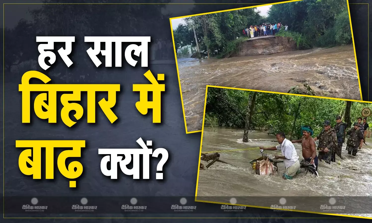 बिहार में हर साल बाढ़ के लिए कौन जिम्मेदार? नेपाल में लगातार कटते पेड़ कितना बड़ा फैक्टर, जानिए