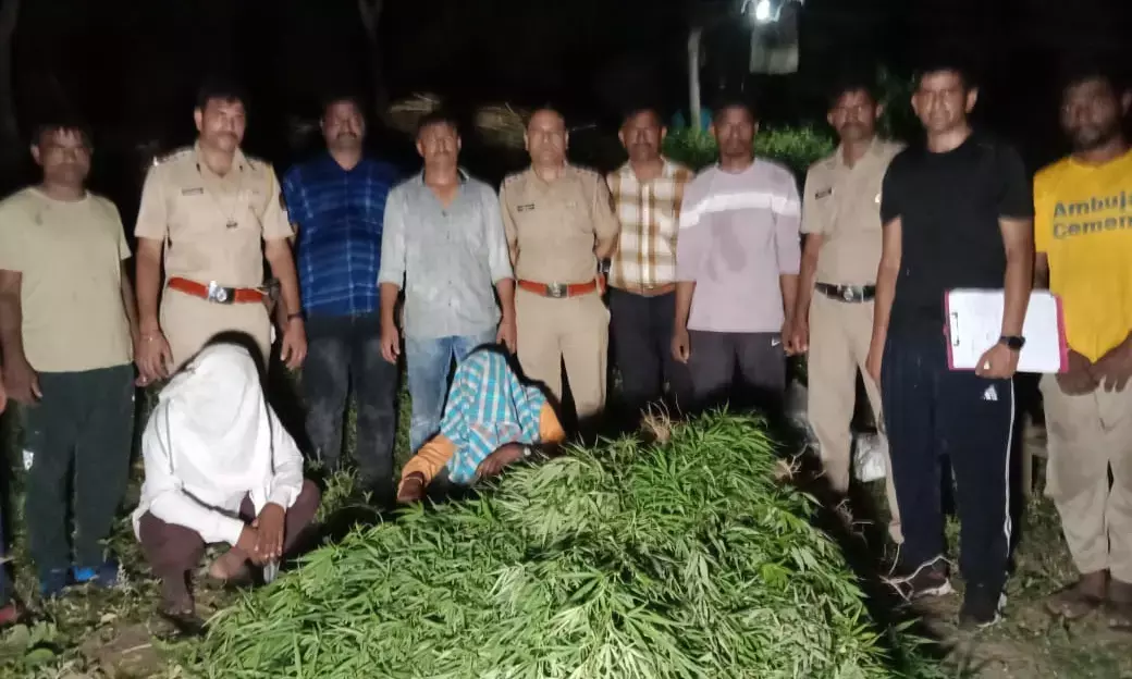 गांजा विक्रेताओं के खिलाफ पुलिस ने मारा छापा , माल सहित आरोपियों को दबोचा