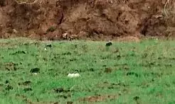 गृह निर्माण समिति के अध्यक्षों ने कर दिया प्लाॅटों का गाेलमाल