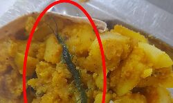 Anuppur News: जनजातीय विश्वविद्यालय गल्र्स हॉस्टल में छात्राओं ने भोजन में कीड़ा मिलने के बाद मचाया हंगामा