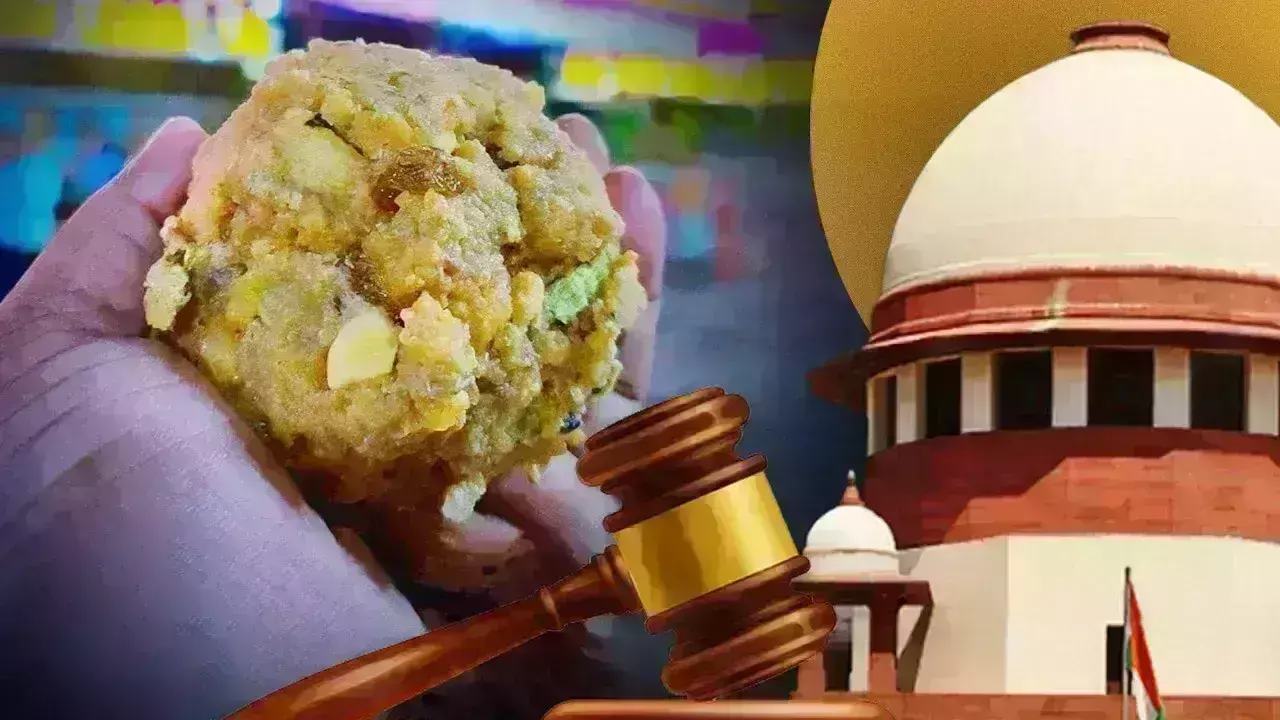 मिलावटी घी के मंदिर पहुंचने पर कपिल सिब्बल ने उठाए सवाल, सुप्रीम कोर्ट ने नई SIT गठित करने के जारी किए निर्देश मिलावटी घी के मंदिर पहुंचने पर कपिल सिब्बल ने उठाए सवाल, सुप्रीम कोर्ट ने नई SIT गठित करने के जारी किए निर्देश