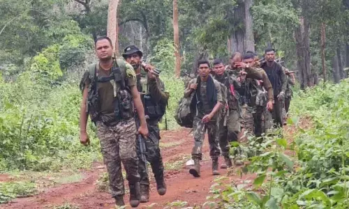 छत्तीसगढ़ में सुरक्षाबलों को मिली बड़ी कामयाबी, इनामी महिला नक्सली समेत 31 नक्सलियों को किया ढेर, बड़ी मात्रा में हथियार बरामद