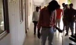 Panna News- कलेक्ट्रेट परिसर में फिर निकली जहरीली नागिन, रेसक्यू कर जंगल में छोडा गया