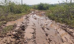 Panna News- जंगल में विराजीं खेरमाई मंदिर के मार्ग की हालत खस्ताहाल, दोपहिया वाहन भी नहीं पहुंच पाते, दो किमी तक का पैदल सफर