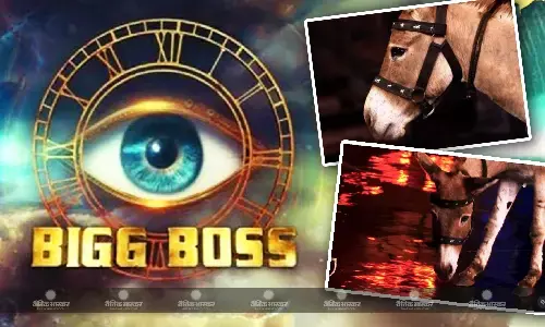 इस बार बिग बॉस 18 के हाउस का हिस्सा बनने वाल है गधा मैक्स? इस कंटेस्टेंट के साथ बनेगा शो का हिस्सा