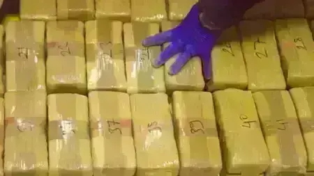 दिल्ली पुलिस को मिली एक और बड़ी सफलता, रमेश नगर से जब्त की 2000 करोड़ रुपये की कोकीन