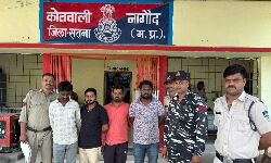 Satna News- अनूपपुर के डीजल चोर गिरोह का पर्दाफाश, 4 गिरफ्तार