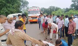 Satna News- दो बाइकों की सीधी भिड़ंत में नाना और नाती की मौत, 4 गंभीर