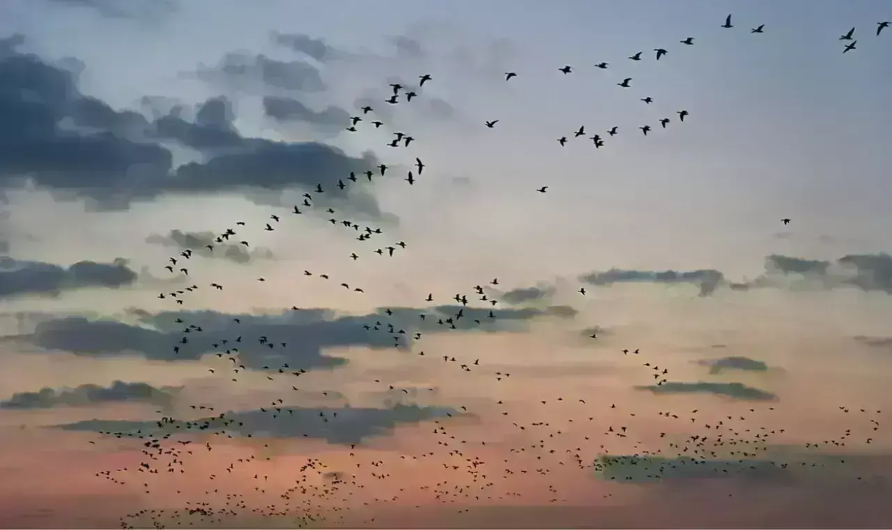 मुंबई सहित देश भर से दक्षिण-पश्चिमी मानसून की विदाई, पांच दिन देरी से रवानगी