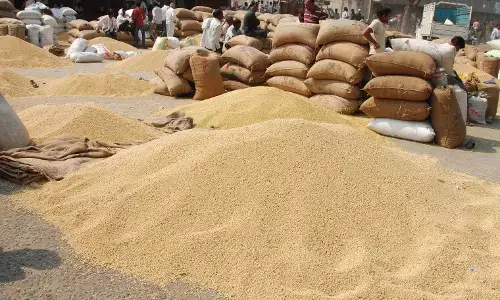 सहायक निबंधक के आदेश को नहीं मान रही बाजार समिति