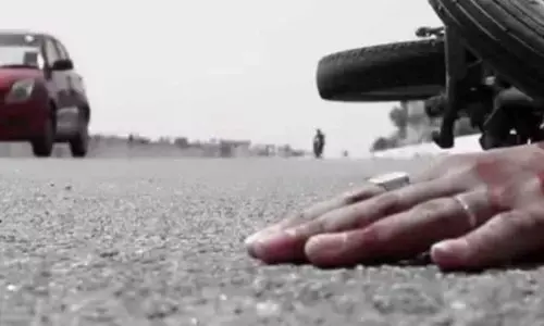 बंदर के सामने आने से बाइक हुई अनियंत्रित, चाचा-भतीजे हुए घायल