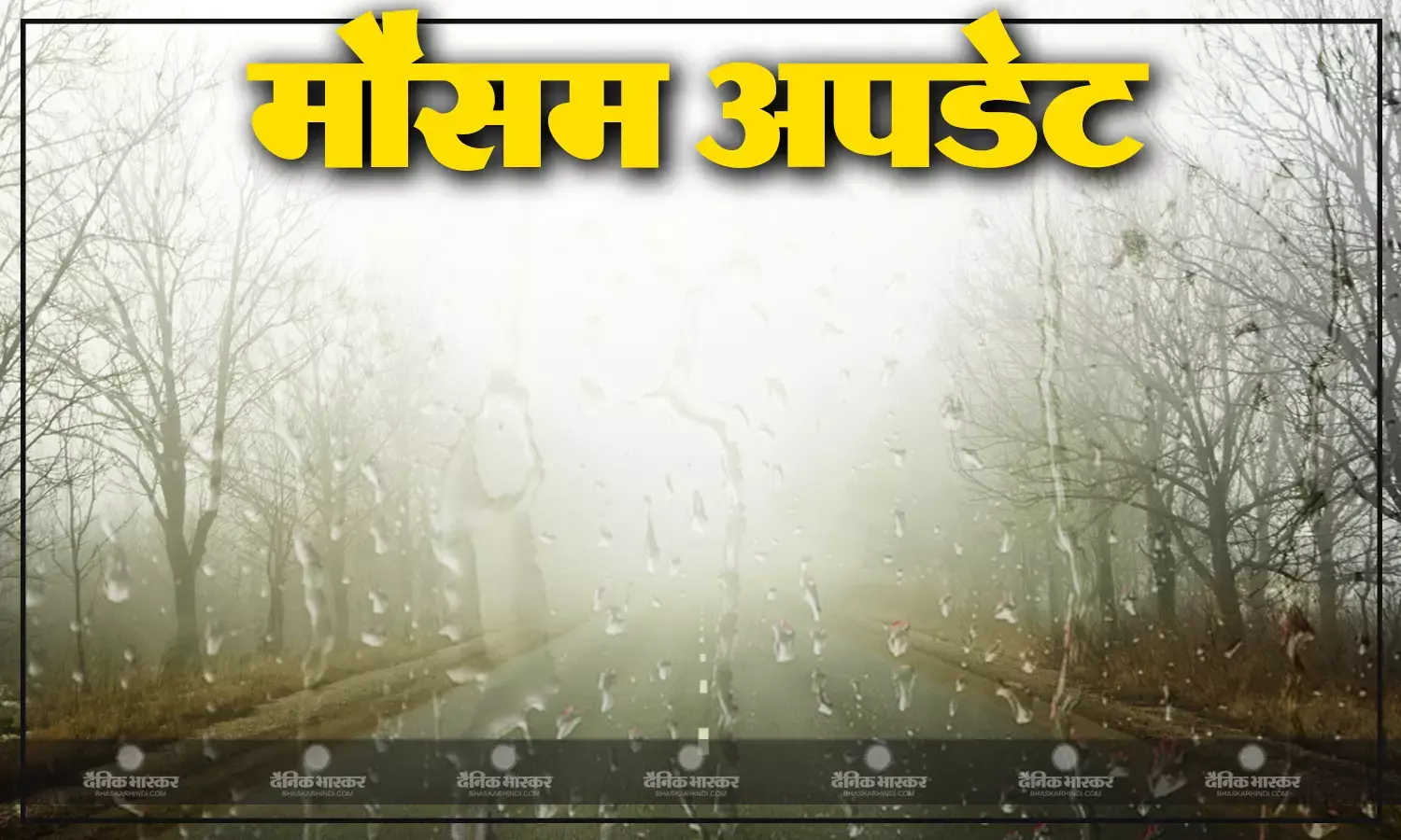 मौसम विभाग ने एक बार फिर येलो अलर्ट किया जारी, कुछ राज्यों में मौसम रहेगा साफ तो कीं होगी झमाझम बारिश, जानें अपने राज्य के मौसम के हाल