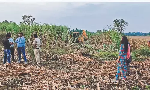 सरकारी जमीन अतिक्रमण मुक्त, 17 एकड़ जमीन पर कर दी खेती, प्रशासन ने खाली कराया