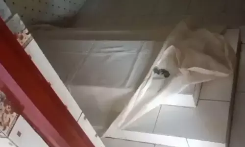 यूपी में है एक अनोखा मंदिर, इंसान जितनी बड़ी मछली की है समाधि, आप भी इसके बारे में जानकर हो जाएंगे हैरान