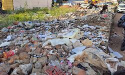 Shahdol News: स्वच्छता के नाम पर कोरम पूर्ति, मुख्य मार्ग पर कचरे का अंबार रहना आम बात