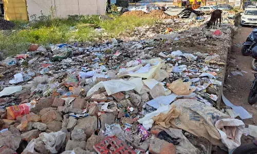 स्वच्छता के नाम पर कोरम पूर्ति, मुख्य मार्ग पर कचरे का अंबार रहना आम बात