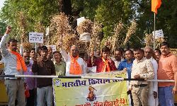 Shahdol News: बिजली कटौती से परेशान किसान, शहर में रैली निकालकर लगाए नारे Shahdol News: बिजली कटौती से परेशान किसान, शहर में रैली निकालकर लगाए नारे