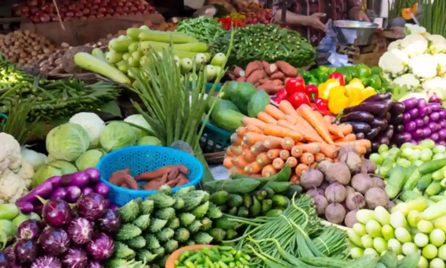 जबलपुर में सबसे कम कीमत पर ताजी सब्जियां कैसे खरीदें?