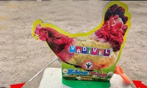 दिवाली धमाका, इस बार ड्रोन व अंडा देने वाला पटाखा रहेगा विशेष आकर्षण दिवाली धमाका, इस बार ड्रोन व अंडा देने वाला पटाखा रहेगा विशेष आकर्षण