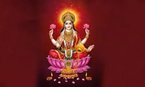 धनतेरस पर खरीदें इन चीजों को, माता लक्ष्मी के साथ-साथ परिवार के लोग भी हो जाएंगे खुश