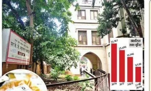 भास्कर इम्पैक्ट- जेजे महानगर ब्लड बैंक में सिंगल डोनर प्लेटलेट की प्रक्रिया होगी शुरू