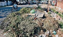 Jabalpur News: सफाई व्यवस्था पटरी से उतरी, लगे कचरे के ढेर Jabalpur News: सफाई व्यवस्था पटरी से उतरी, लगे कचरे के ढेर