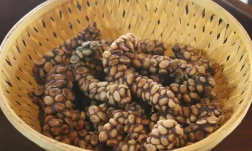 कॉफी लवर्स की पहली पसंद है ये कॉफी, बिल्ली के मल से है बनती, महंगी से महंगी कॉफी में नहीं मिलेगा इसका टेस्ट