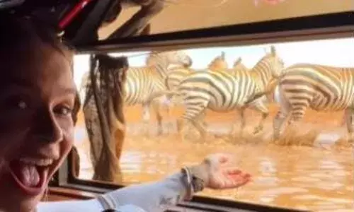 जंगल में गई लड़की घूमने तो जंगल के बीचों बीच मिली अजीब सी झोपड़ी, जा के अंदर देखा तो उड़ गए उसके होश, झोपड़ी में था एक...