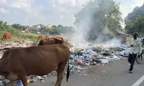 कचरा एजेंसियों की लापरवाही से मनपा के अभियान पर संकट, रास्तों-चौराहों पर ढेर जमा