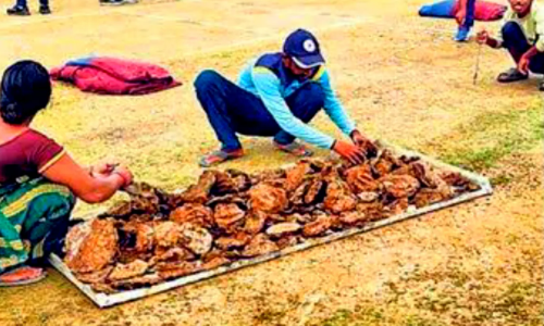 बिहार में पिच को सुखाने के लिए अपनाया गया गजब का तरीका, तस्वीरें देख लोगों के उड़ गए होश