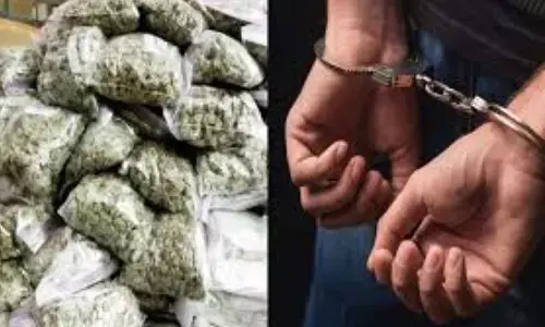 पुलिस का बड़ी कार्रवाई, 5 किलो गांजा के साथ महिला को पकड़ा रंगे हाथ