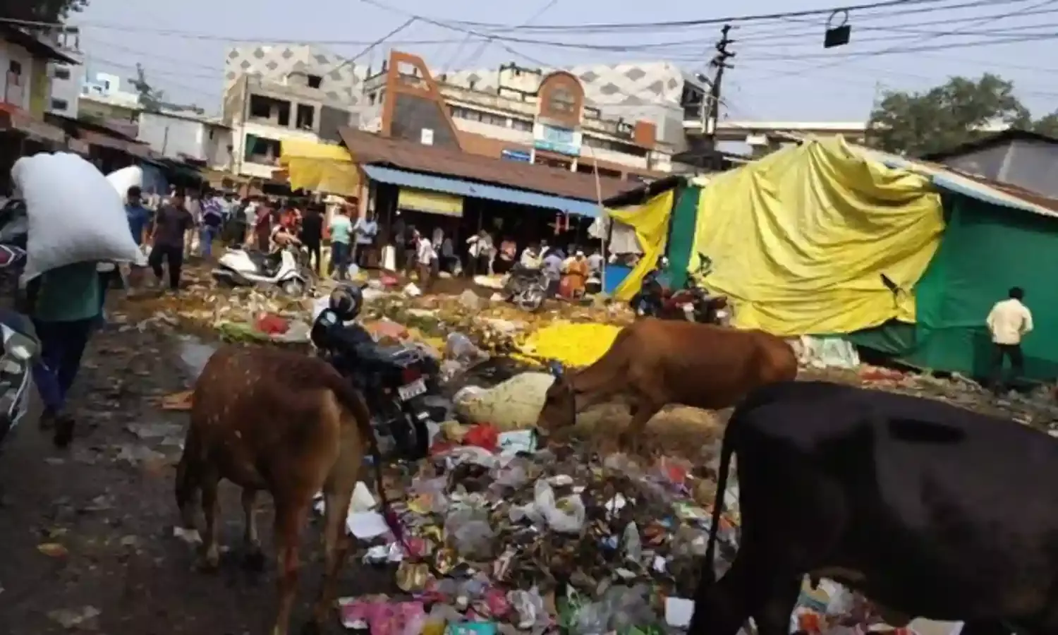 फूलों की खुशबू की बजाय बदबू से परेशानी, नेताजी मार्केट में गंदगी से बुरे हाल