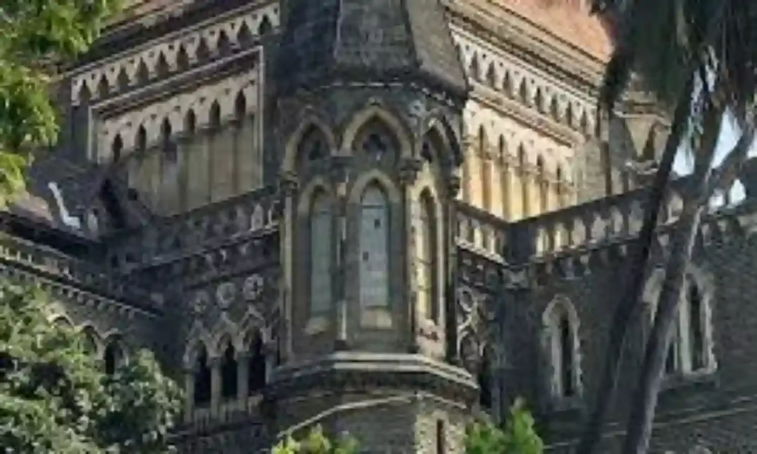 बॉम्बे हाईकोर्ट ने पति को उकसाने की आरोपी महिला को दी अंतिम जमानत