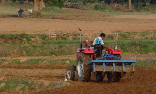 ग्रेज्युएट डिग्रीधारी युवा किसान ने शुरू किया जगनी और सरसों के खेत में मधुमक्खी पालन