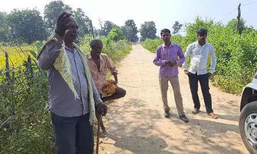 हाथी भगाने के लिए 10 पटाखे देकर जिम्मेदारी से पल्ला झाड़ लेते हैं, गांव के बाहर हाथी पहुंचे तो वनकर्मी फोन तक नहीं उठाते