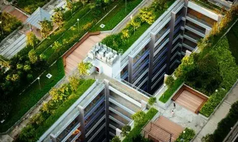 शहरों को डूबने से बचा सकती है छतों की हरियाली, आईआईटी बॉम्बे के शोधार्थियों का दावा