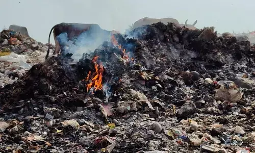 शहर के कचरे का जलाकर कर रहे विनिष्टिीकरण! ताक पर रख दिए नियम-कायदे शहर के कचरे का जलाकर कर रहे विनिष्टिीकरण! ताक पर रख दिए नियम-कायदे