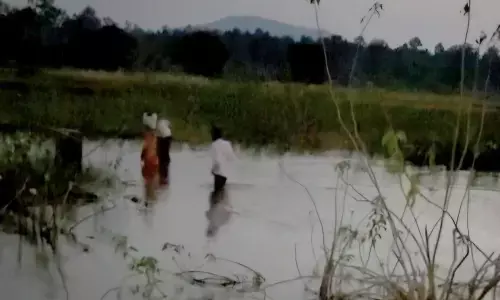 पुलिया के ऊपर पुल बनाने आरईएस ने बना दिया 60 लाख रूपए का स्टीमेट