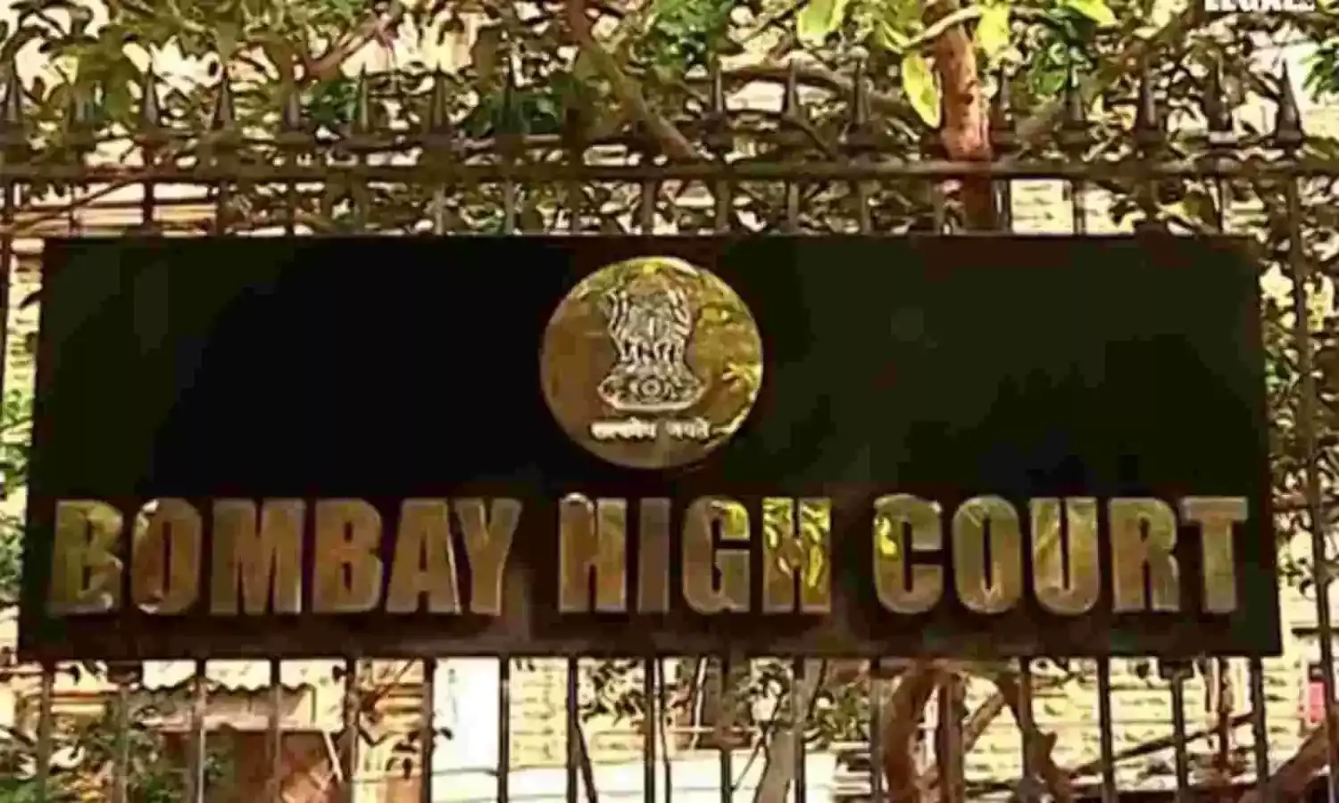 महिला वकील-पुलिसकर्मी समेत सैंकड़ों को शादी का झांसा देकर धोखा देने वाले को जमानत नहीं