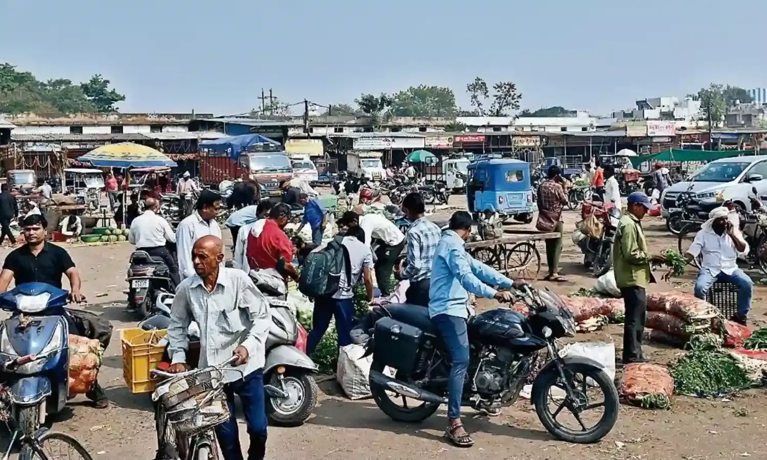 इस बार नई मंडी से होगा मटर का व्यापार, जाम से मिलेगी मुक्ति