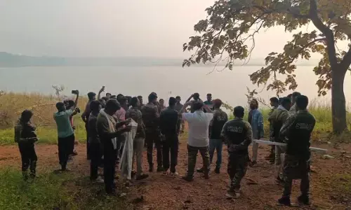 चंद्रपुर में हरियाल, धनेश जैसे विविध प्रजाति के 32 पक्षियों का किया पंजीयन