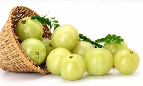 सिर्फ बाल और स्किन ही नहीं बल्कि इन परेशानियों के लिए भी आंवला है फायदेमंद, अपनी डाइट में जरूर करें शामिल